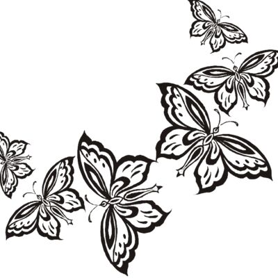 Butterflies in a row Thumbnail