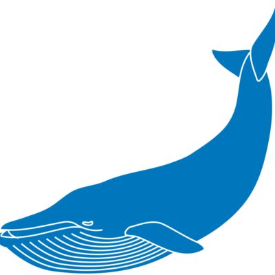 Blue whale Thumbnail