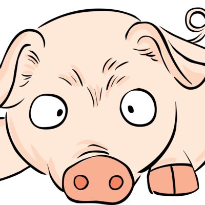 Pig lying down Thumbnail