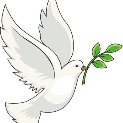Peace white dove Thumbnail