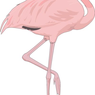 Pink flamingo Thumbnail
