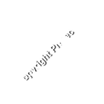 TBPA Inc. Crab Logo Thumbnail