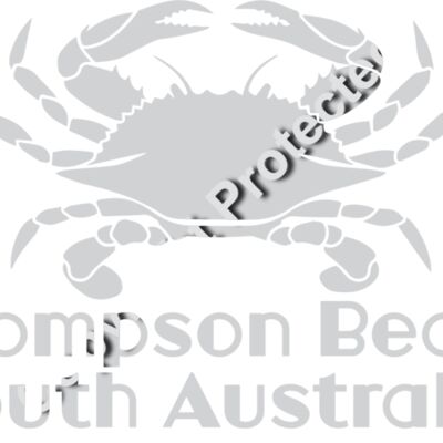 TB SA GREY CRAB Thumbnail