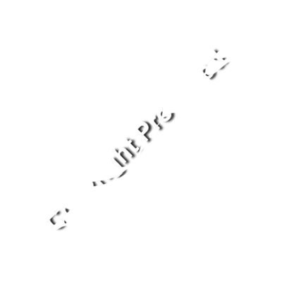 DGS Front Logo - White Thumbnail